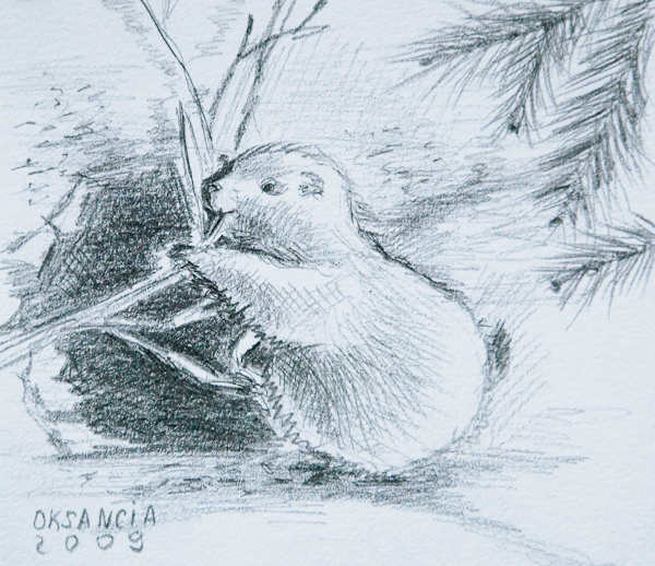 Prairie Dog - Zoo 2009 by Oksancia