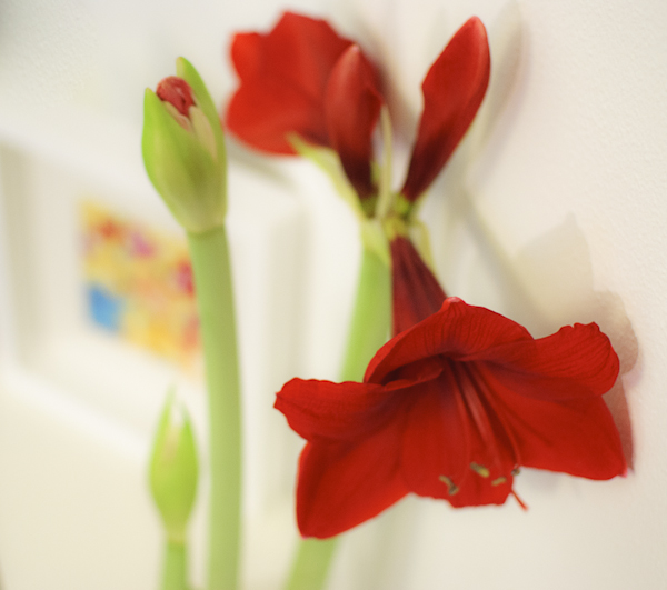 Amarylis in Oksancia's home studio